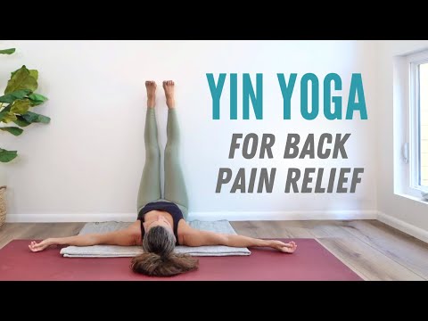 Yin Yoga for Back Pain Relief | 1 Hour Stretching & Relaxation