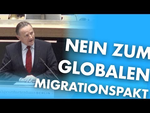 ✋Migrationspakt stoppen - Rede Georg Pazderski