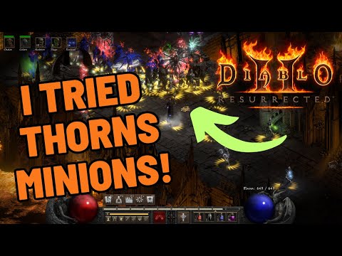 THORNS NECRO IS INSANE Baller on a Budget Summoner Build!