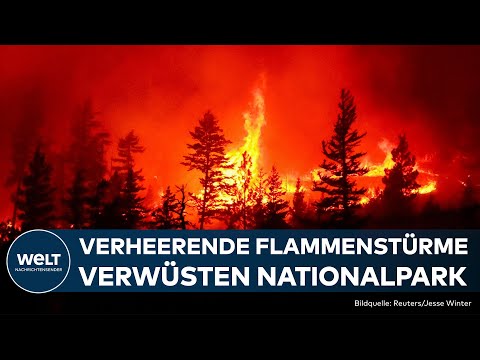 KANADA: Inferno im Nationalpark! Waldbrände richten verheerende Schäden in Jasper, Alberta an