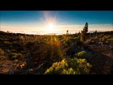 Hino 235 - Um amor imenso - com Stella (Hinário 5)