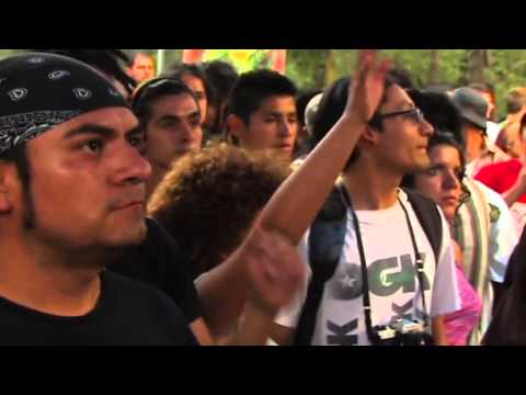 Rey Leon "Negus Anbessa" linda planta