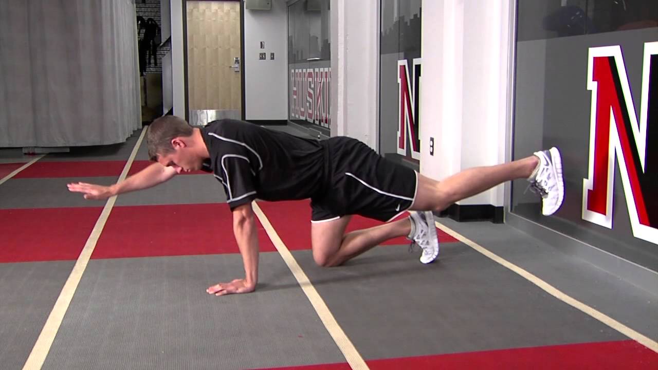 All you need is your bodyweight and these three physical therapist-approved exercises to strengthen an injury-prone lower back 4 Quadruped Opposites (Bird Dogs) - YouTube