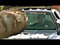 Final Destination 2 Best Scene Whatsaap Status
