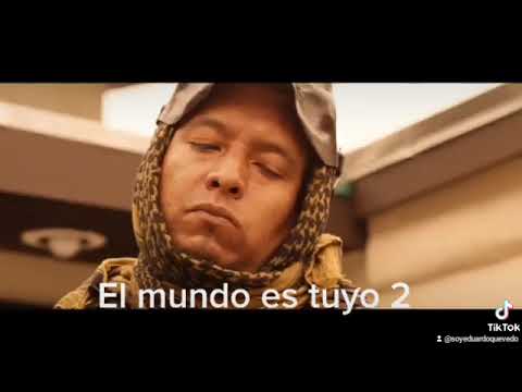 Trailer oficial de la película El Mundo Es Tuyo 2 #Viral #Tijuana