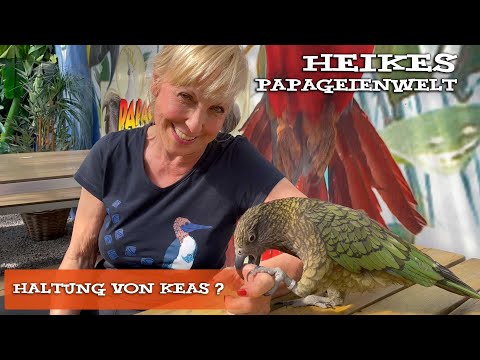 Keas care - explained by Heike Mundt.