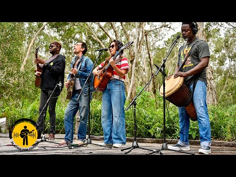 Tears on My Pillow | Playing For Change Band | Live Outside | Playing For Change