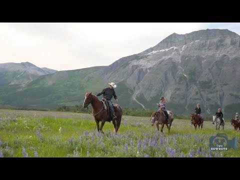 Traveling Cowboys: Follow the Two Cowboys and Experience the Lifestyle