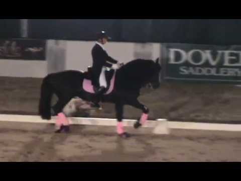 Freestyle Mendoza - PVDA Dancing Horse Challenge 2011