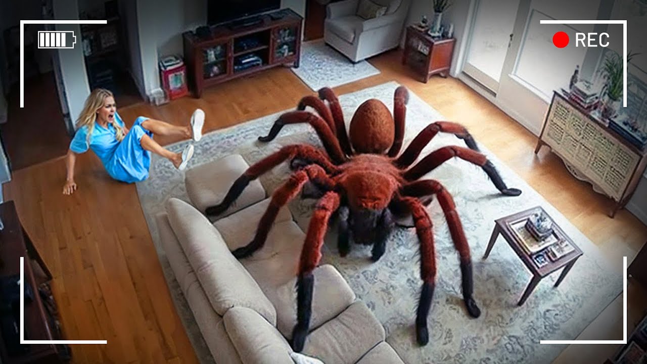 هذه المقالب انتهت بطريقة لم يتوقعها أحد!!