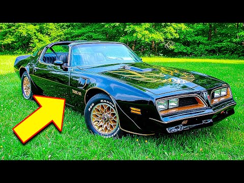 Movie Motors  and The Retro Cut 