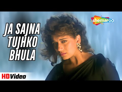 Ja Sajna Tujhko Bhula – Raja (1995) | Madhuri Dixit | 90s Emotional Song | Udit Narayan, Alka Yagnik
