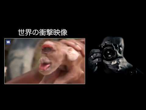 動画 世界の情報チャンネル 2ページ目 可愛すぎる女の子の動画