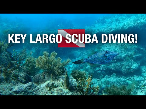 Key Largo's Scuba Diving: A Deep Sea Adventure!