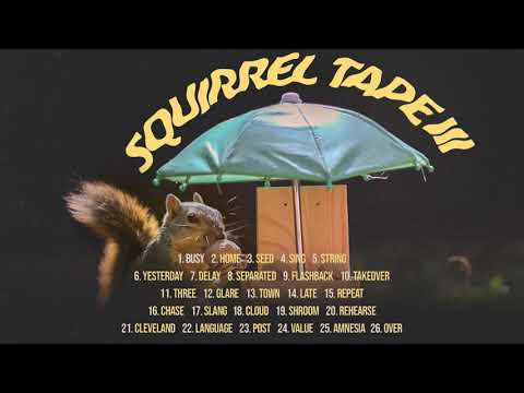 Evidence - Squirrel Tape Instrumentals, Vol. 3 (Official Album Stream)