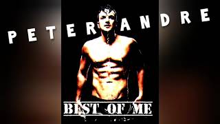 Peter Andre - Best Of Me
