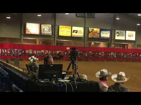 Moonstone Princess Tulsa Derby