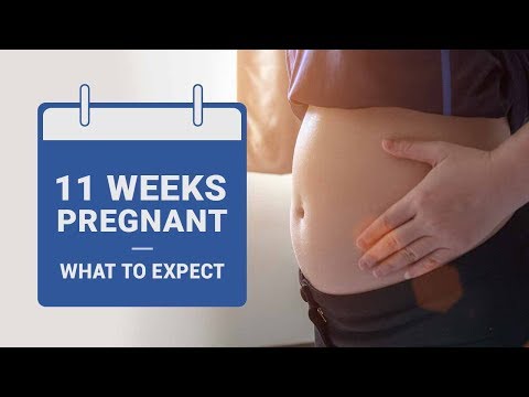 11 Weeks Pregnant   What to Expect