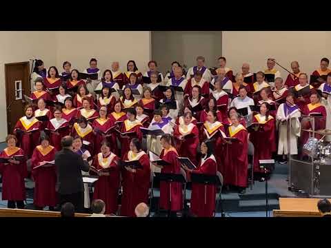 Wings of the Dawn - Linda A. Spencer