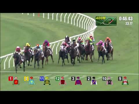 7/5/2022 (647) Majestic Knight - L Hewitson