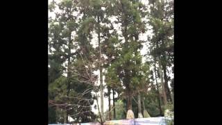 [問卦] 上武陵鐵鍊能租嗎？