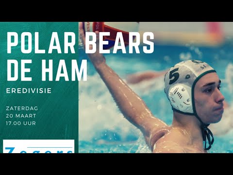 Heren Polar Bears - De Ham