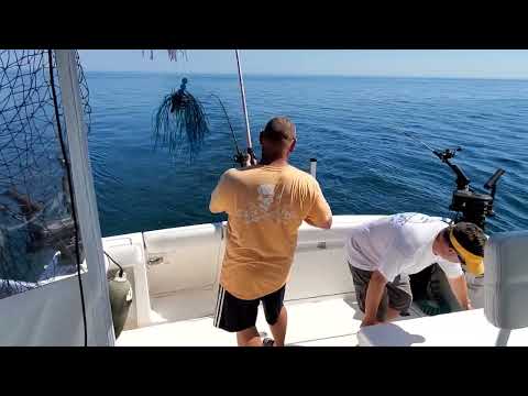 S2022:E07 Slow Morning