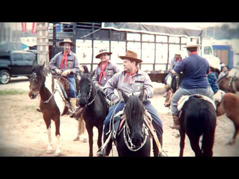 Studio Schorne Teaser PQT Aliança Gaúcha