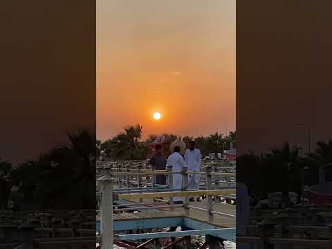 sunset in uqair aramco beech saudia arbia alhasha #trending #trend #viral #shortvideo #shorts #short