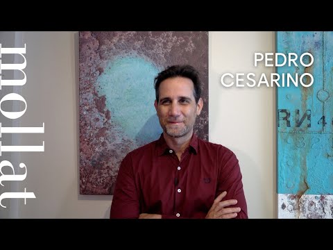 Pedro Cesarino - L'attrapeur d'oiseaux