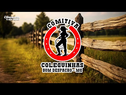 COMITIVA COLEGUINHAS - BOM DESPACHO/MG