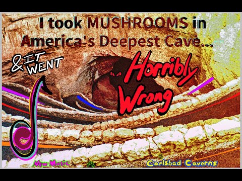 🎄Christmas Shrooms🍄 in Carlsbad Cavern! MUSHROOMs @ 700 ft DEEP. Wild Full Music Visualizer
