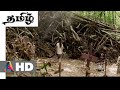 Pet Sematary Girls Go To Sematary Scene In Tamil