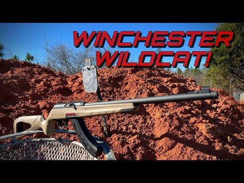 Winchester Model 22