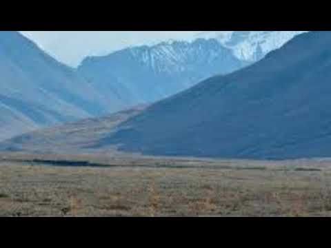 Beautiful pictures by AA Tasin