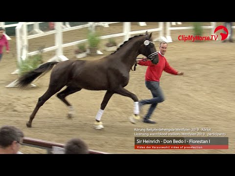 Hengst v. Sir Heinrich - Don Bedo I - Florstan I