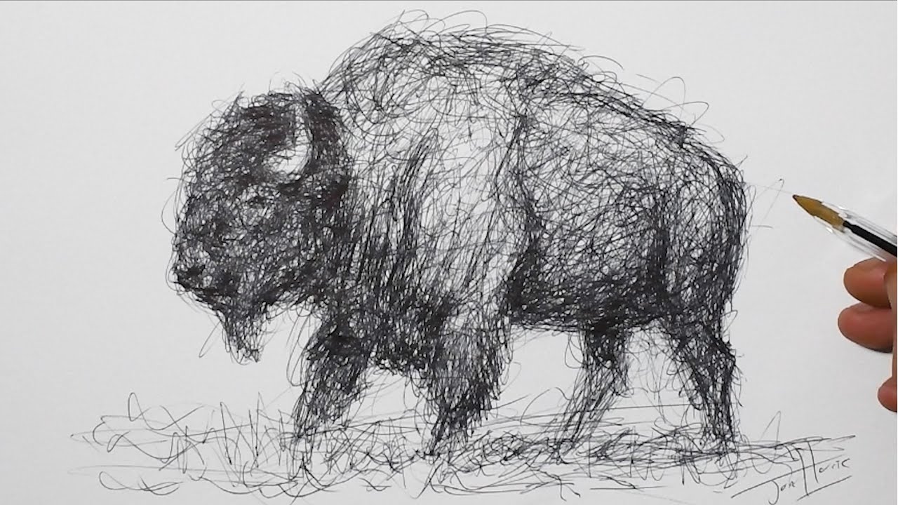 How to Draw a Bison | Awesome Pen & Ink Drawing