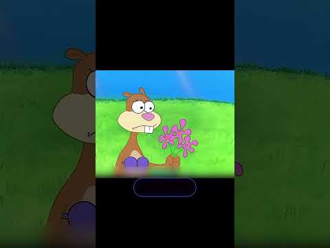 بيت ساندي جفّف سبونج وبسيط!