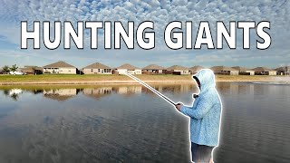 Fishing for 10lb Bass in Texas Neighborhood Ponds! (Fall Bass Fishing Dallas/ Fort Worth)