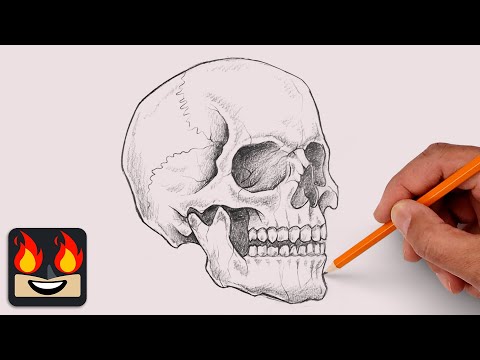 Cartooning Club XL and Cartooning Club How to Draw