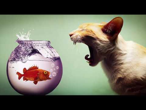 Tek tribe acid mental remix