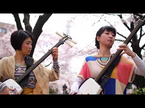 Shamisen Under The Cherry Blossoms - The Forgotten Files 001