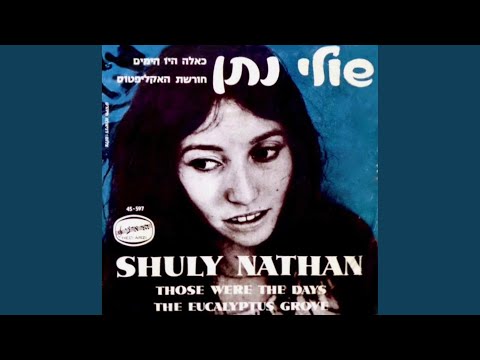 חורשת האקליפטוס