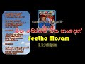 Seetha Mosam Geetha Naden H R Jothipala With Sunflower