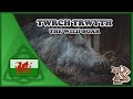 Twrch Trwyth The Wild Boar Welsh Legend Celtic Mythology