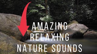 4K Relaxing Nature Sounds - Short Video Clips of Nature - 18 minutes Nature  sounds