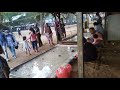 Jual Ikan Hias Air Laut Di Jogja