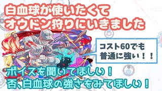 [クラッシュフィーバー]白血球使いたくてオウドンいってみた[クラフィ][女実況]
