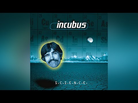 Incubus - New Skin