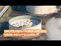 Alarmbellen gaan af bij andere vervuilers: 'Kan impact hebben op werkgelegenheid'